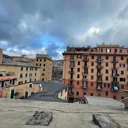Apartment A Roof In The
